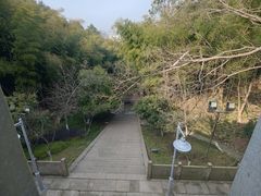 -峙山公园