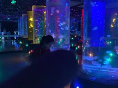 -锦艺城海洋馆