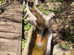 -老界岭旅游度假区