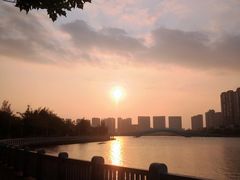-五缘湾湿地公园