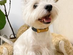 -HEARTISANS手工DIY皮艺体验(安贞环宇荟店)