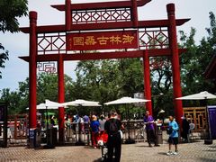-御林古桑园