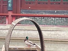 -宣武艺园