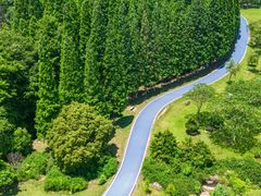 -宜兴龙背山森林公园