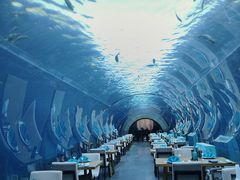 -涛·海底餐厅·美人鱼·自助餐·海底隧道(三亚海棠湾洲际度假酒店)