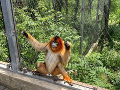 -哈尔滨北方森林动物园