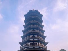 -洋湖国家湿地公园