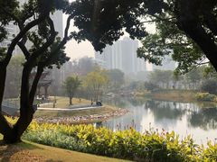 -四海公园(南山区)