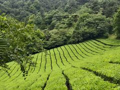 -敬亭山风景名胜区