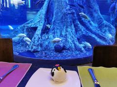 -长隆海洋王国自助餐厅(横琴湾店)
