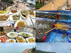 -广东惠东海龟国家级自然保护区