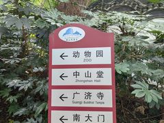 -赭山公园