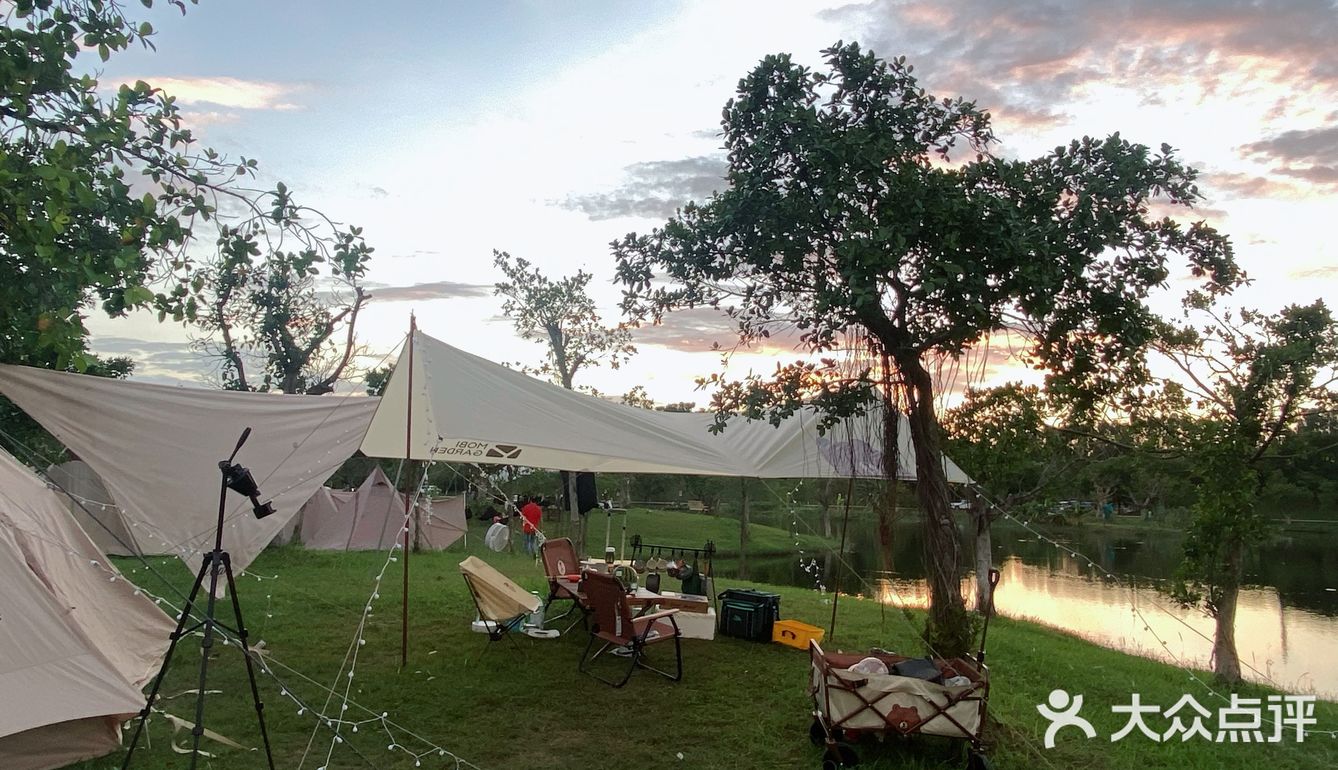 野营之松山湖站！