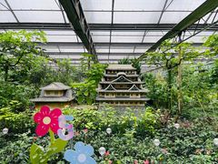 -南宫五洲植物乐园