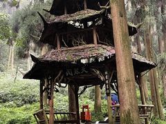 -青城山