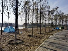 -东郊湿地公园