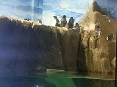 -成都浩海立方海洋公园