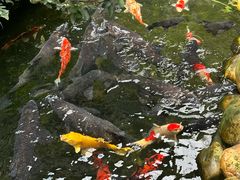 -味可道·黄圃人家园林酒家(兆丰店)