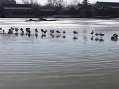 -大明幻境第一城