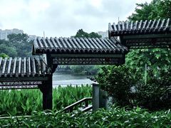 -荔湾湖公园