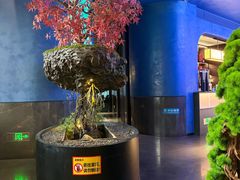 -1718海鲜姿造(苏宁宴请臻选店)