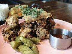 -百好乐宠物友好餐厅(朝外大街店)