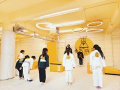-勇气斑马·巴西柔术&跆拳道(浦东三林店)