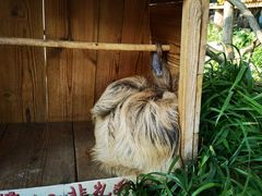 -乐和乐都动物主题乐园