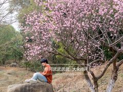 -秀丽东方