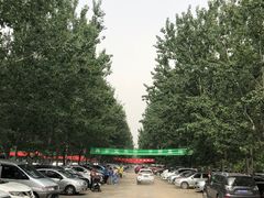 -御林古桑园