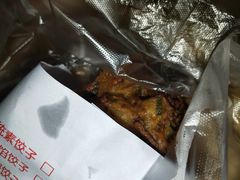 -半月镰胡姐脆皮萝卜饺子
