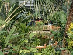 -北京植物园-展览温室