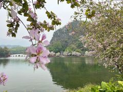 -星湖旅游景区七星岩