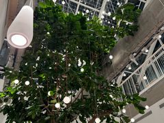 -大树餐厅(红旗街万达店)