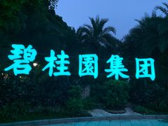 -碧桂园总部大楼