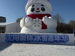 -沈阳奥体冰雪嘉年华