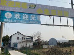 -小鱼草莓采摘园农家乐·小鱼餐厅