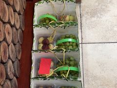 -金稼园·金平湖农家菜