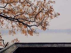 -颐和园