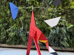 -旧金山现代艺术博物馆