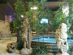 -泉城欧乐堡戏水湾艺术养生温泉