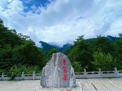 -牛背梁国家森林公园