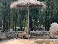 -北京野生动物园