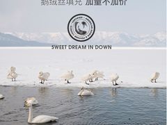 -新世界大丸百货