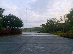 -福田红树林生态公园