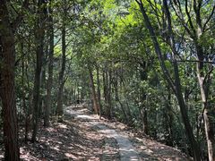 -西湖风景区十里琅珰-五云山