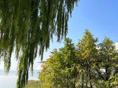-艾溪湖湿地公园