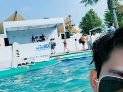 -秦皇岛乐岛海洋王国