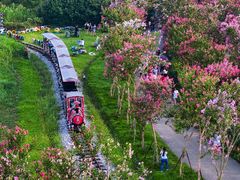 -武汉紫薇都市田园