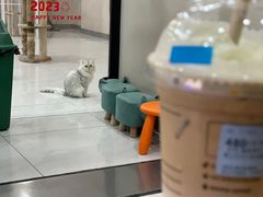 -瑞幸咖啡(西铁营万达广场店)
